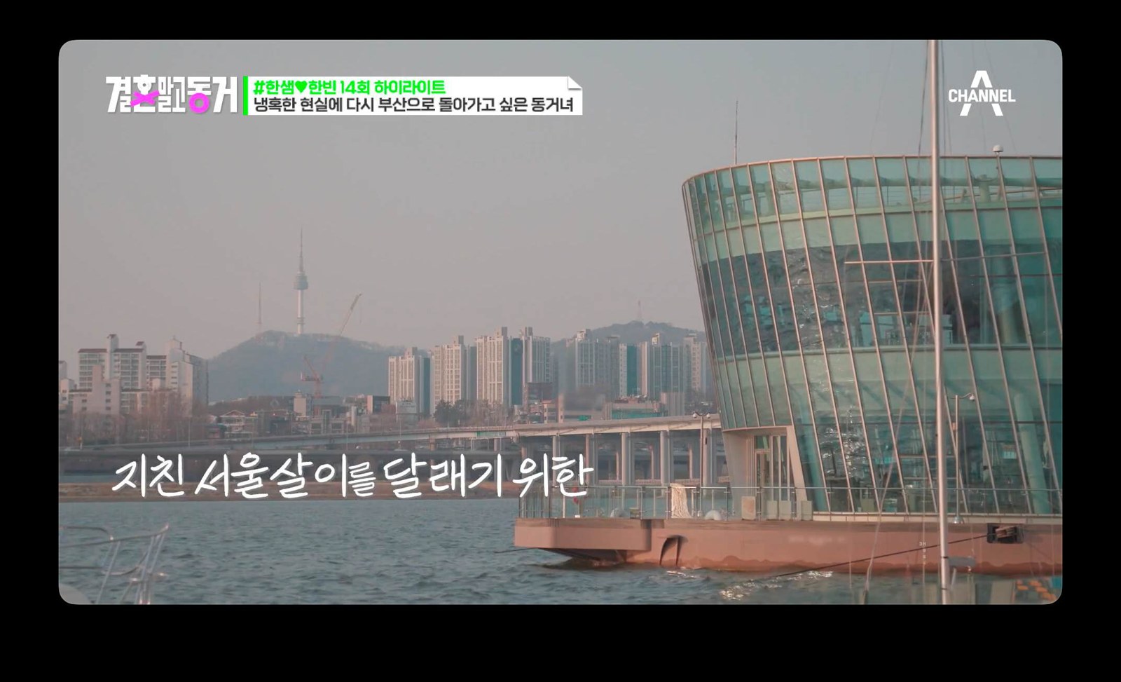 결혼말고동거 프로그램 스틸